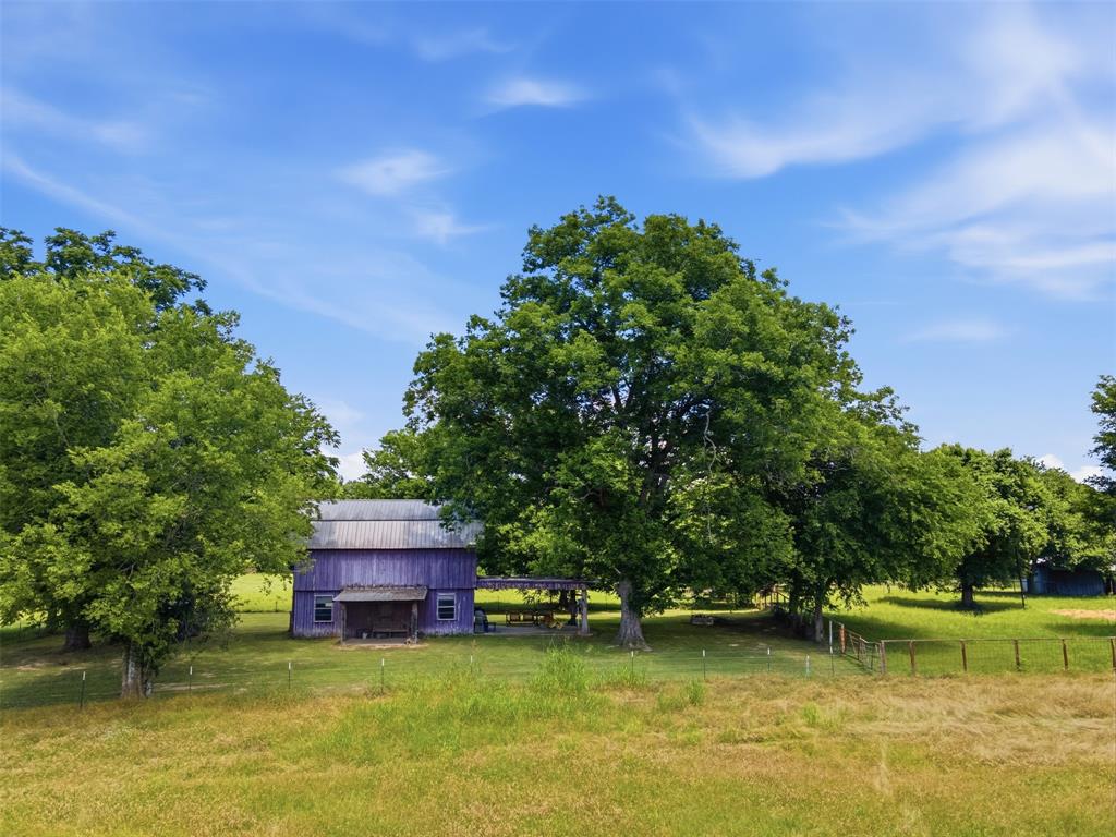 1663 County Road 1405 Bogata, TX 75417 - Photo 8 of 36