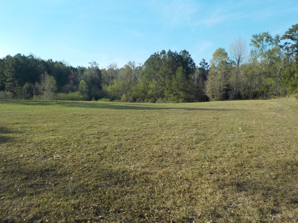 36.62-ac Hooper Cherry Road Dothan, AL 36301 - Photo 22 of 32 Gallery Image 22