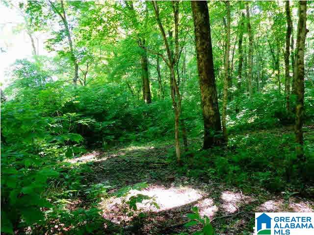 0 Riverview Drive, Unit 116 Cleveland, AL 35049 - Photo 21 of 30