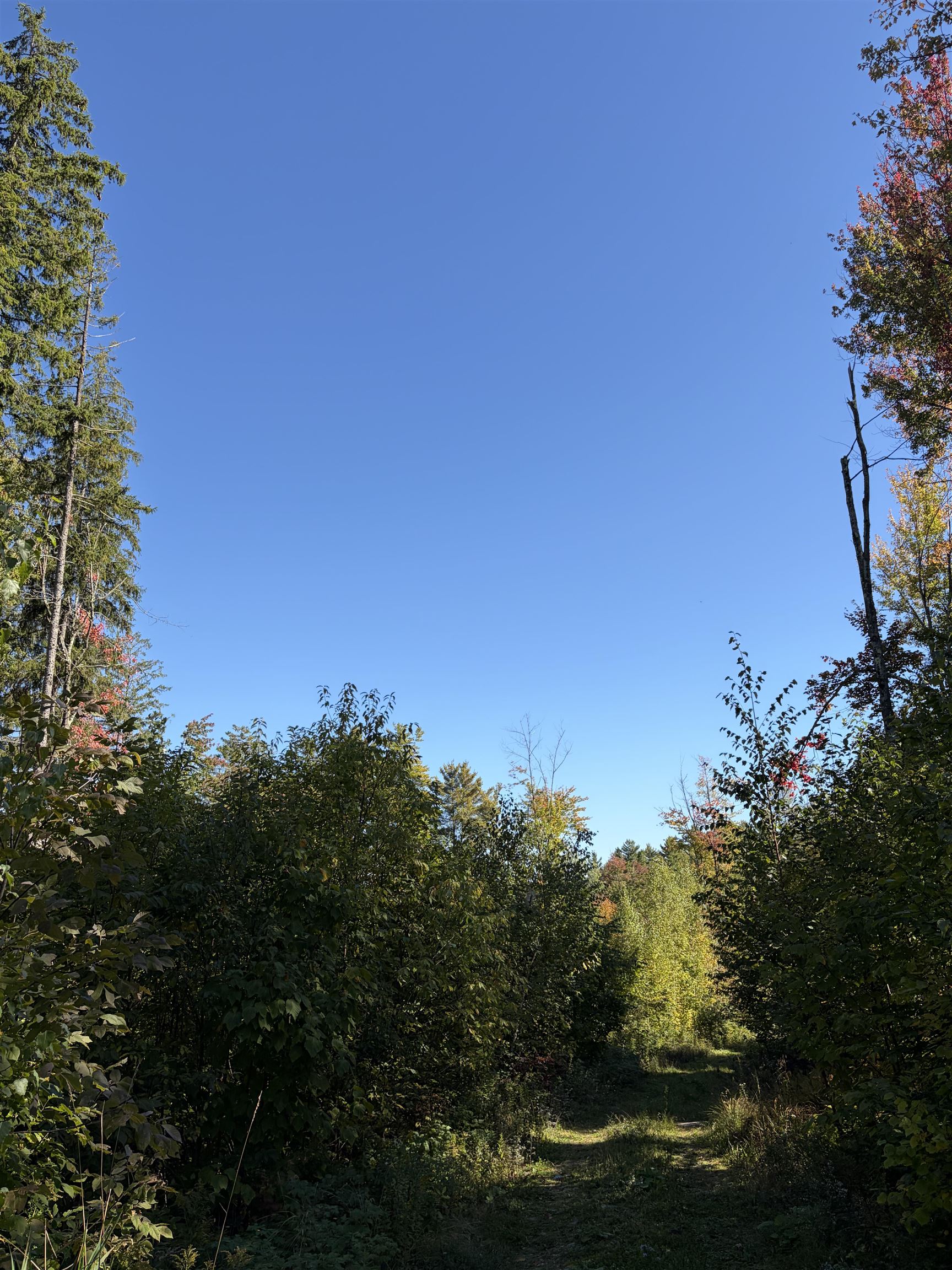 0 Leland Farm Road, Unit LOT D Middlesex, VT 05602 - Photo 15 of 22 Gallery Image 15