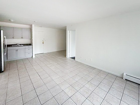 5100 North Sheridan Road, Unit 505 Chicago, IL 60640 - Photo 4 of 14