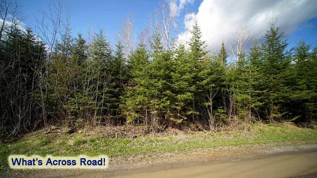 Lot 23 Mill Road East Orient, ME 04471 - Photo 13 of 28 land-me-cary-haney-2