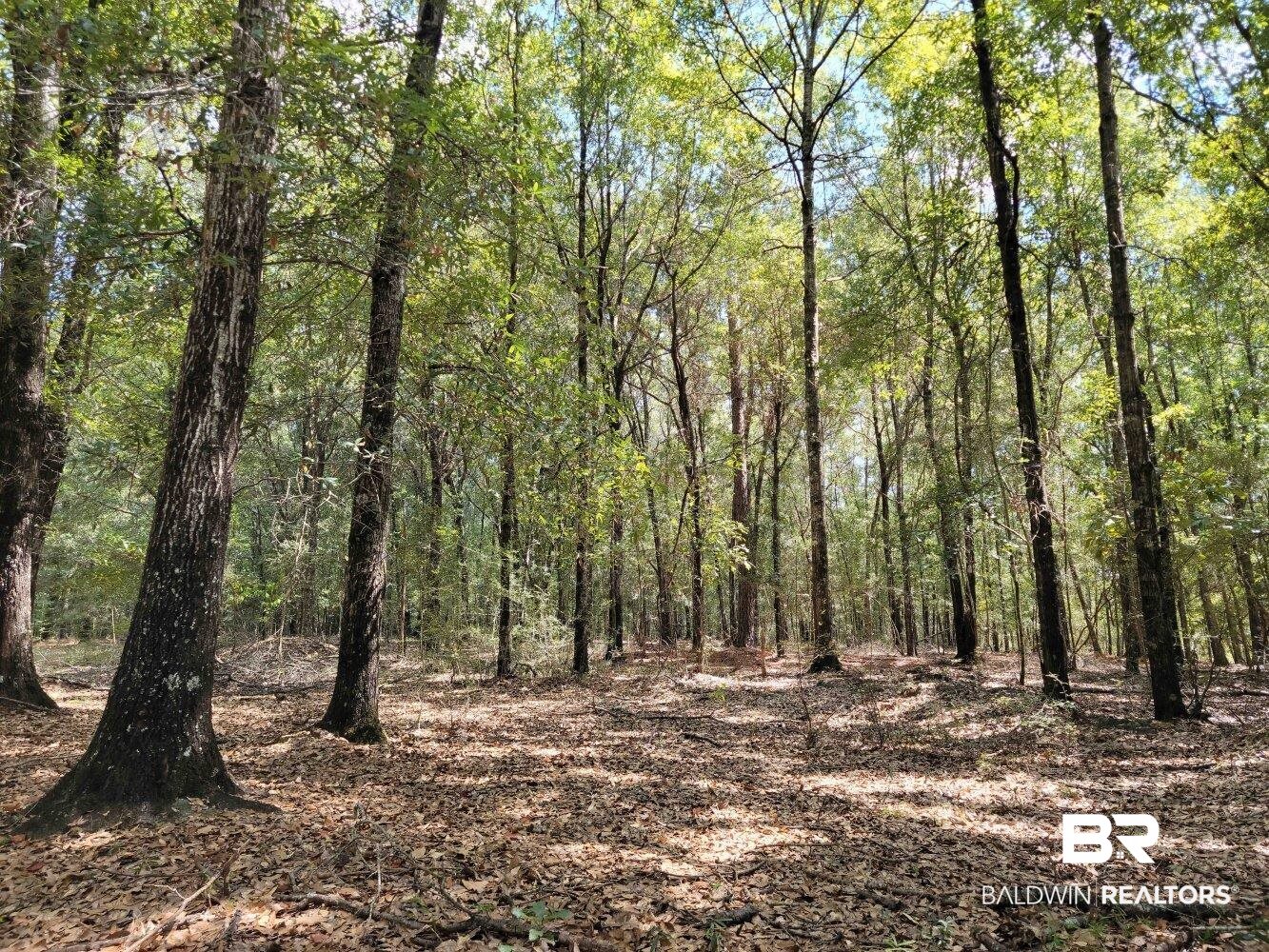 0 Howell Drive Mount Vernon, AL 36560 - Photo 15 of 50