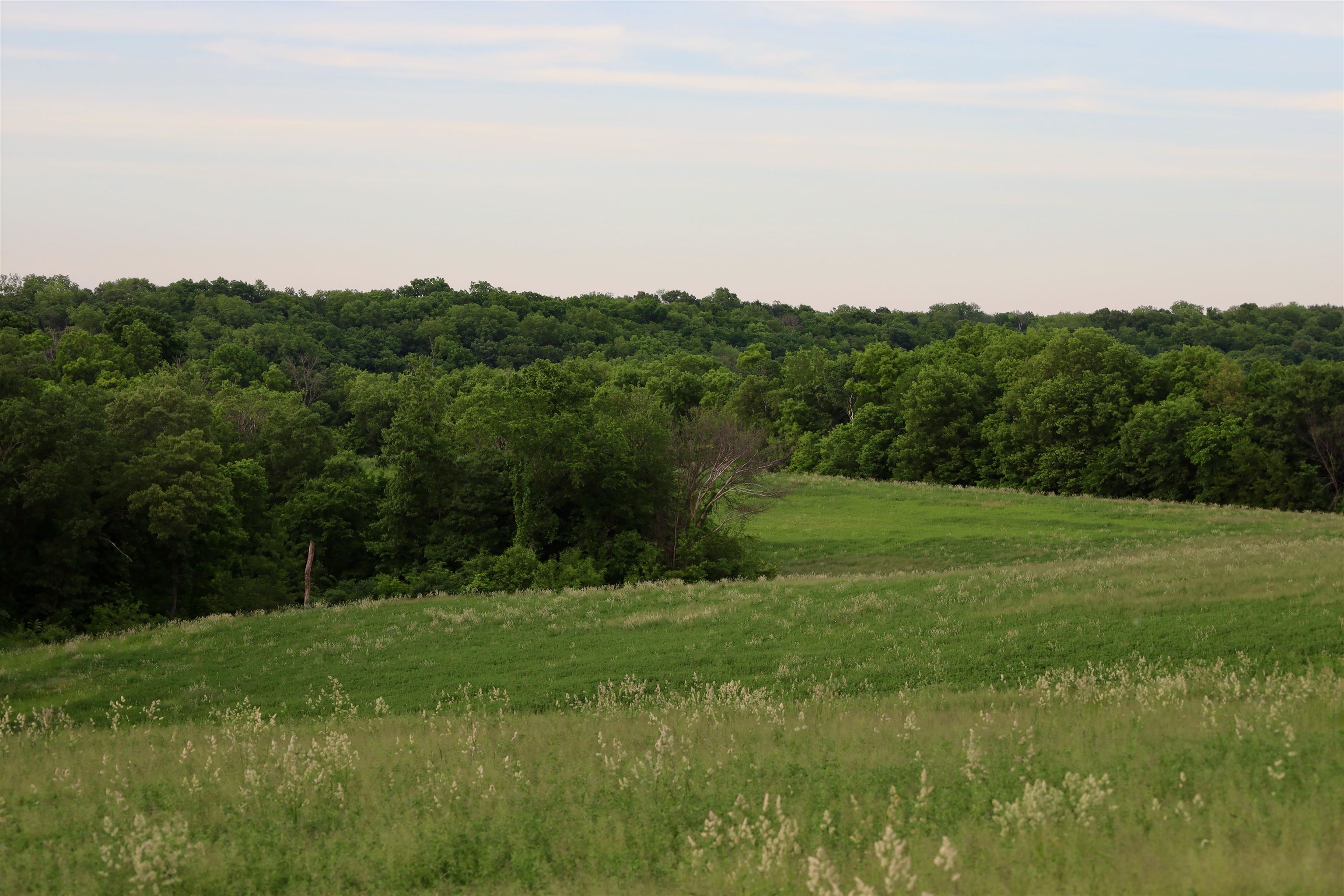 0 County M Boscobel, WI 53805 - Photo 22 of 32