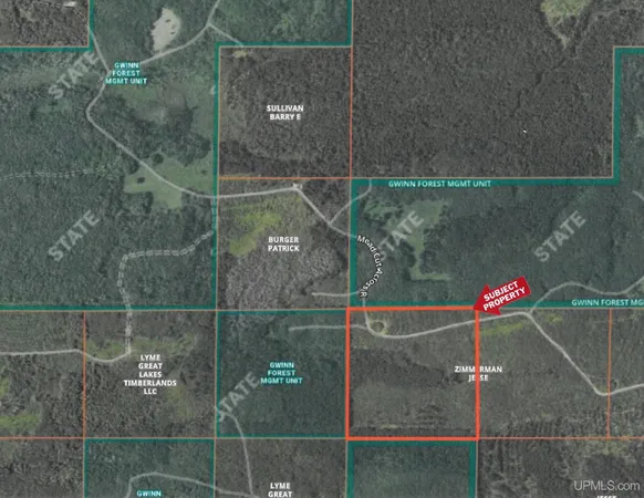 $48,000 | Tbd Off Cr 557 40 Road, Arnold, MI 49819