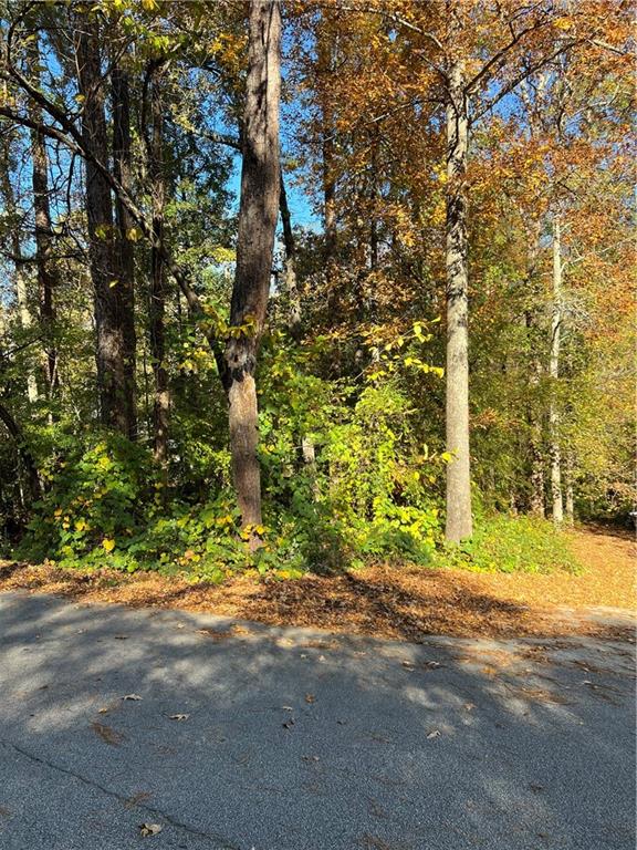 130 Valley Drive Stockbridge, GA 30281 - Photo 1 of 5