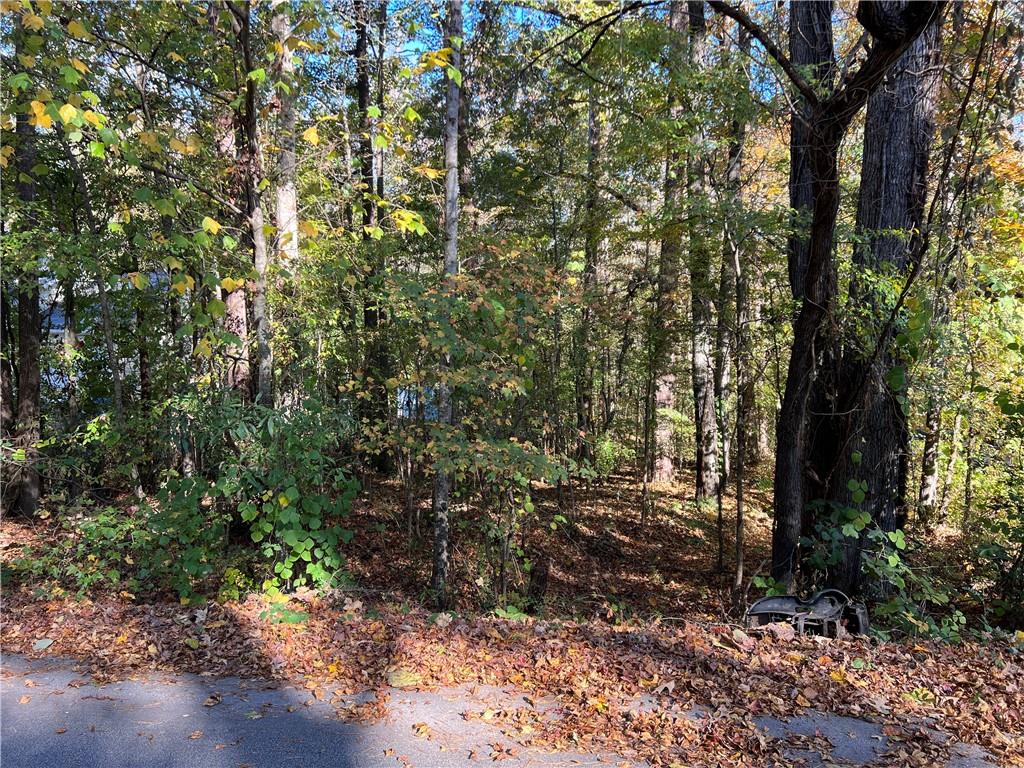 130 Valley Drive Stockbridge, GA 30281 - Photo 3 of 5