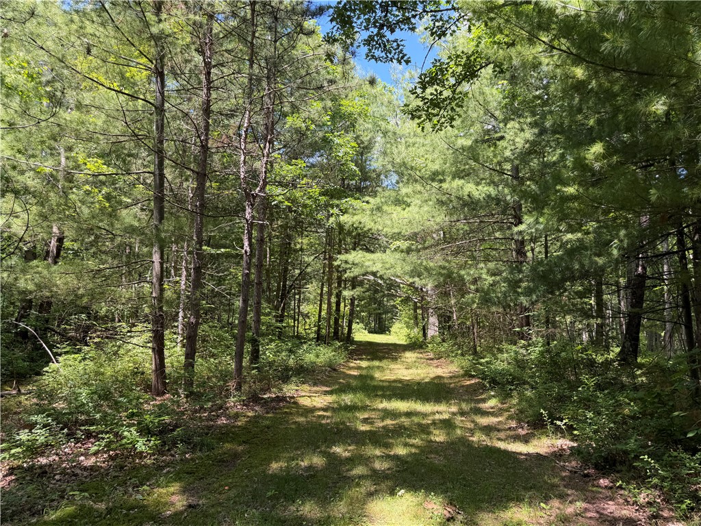 Vl Catatunk Road, Unit R Canisteo, NY 14823 - Photo 34 of 50
