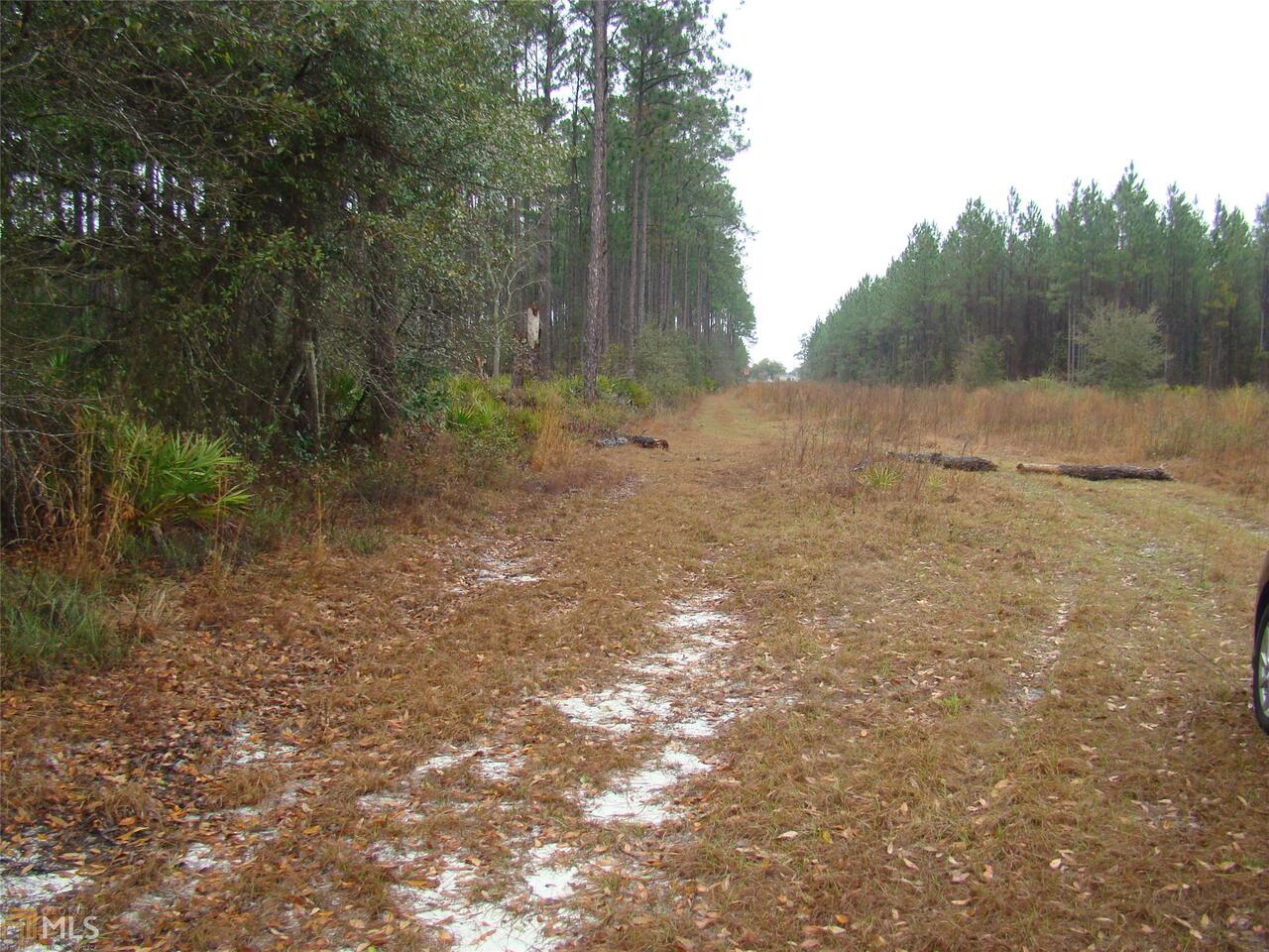 0 Sam Houston Road, Unit LOT 51 Folkston, GA 31537 - Photo 1 of 1