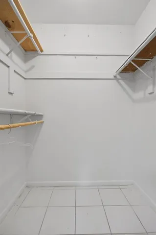 a view of a white house with a yard plants and large tree