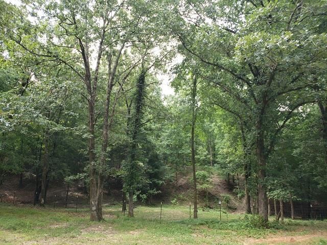 1180 Herschel Road Middleton, TN 38052 - Photo 14 of 14 Gallery Image 14