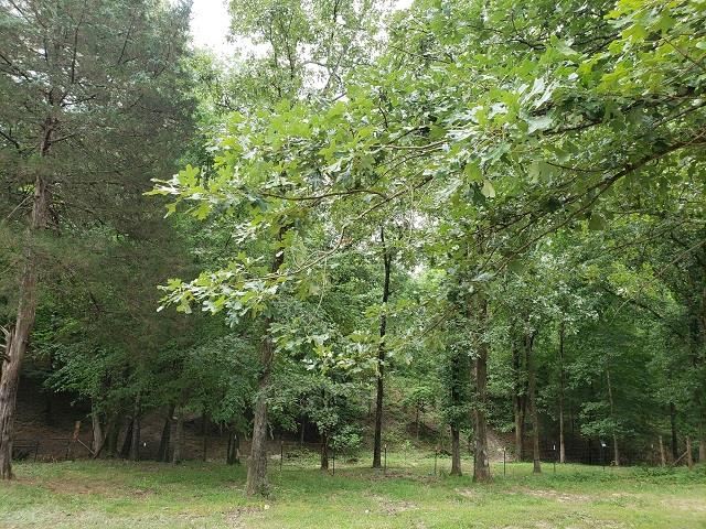1180 Herschel Road Middleton, TN 38052 - Photo 8 of 14 Gallery Image 8