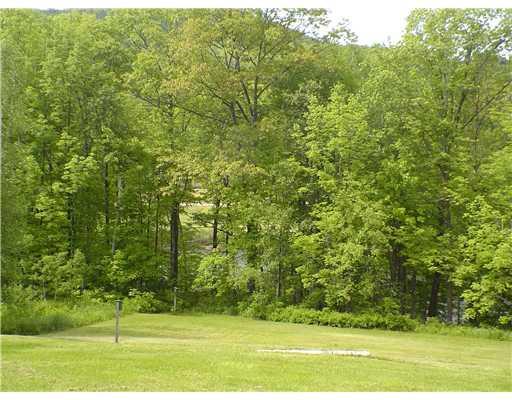 398 South Rumford Road Rumford, ME 04276 - Photo 19 of 23 Yard/Garden.