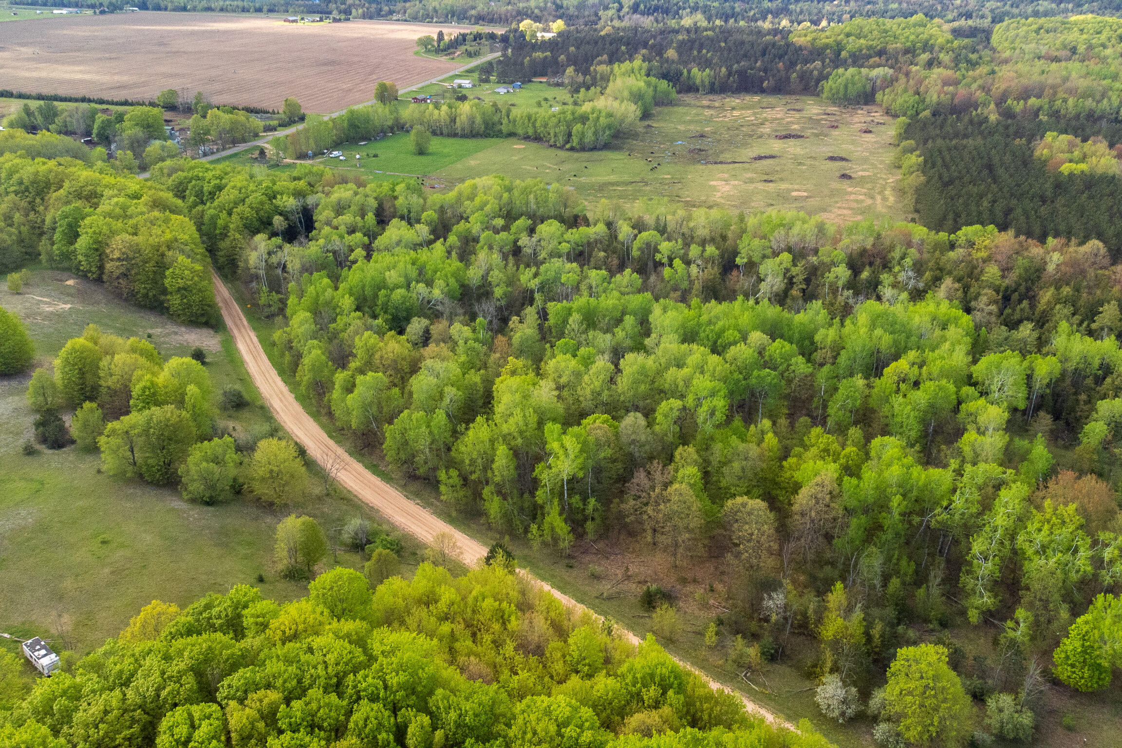 Vl Yates Road Copemish, MI 49625 - Photo 17 of 49 Yates-11