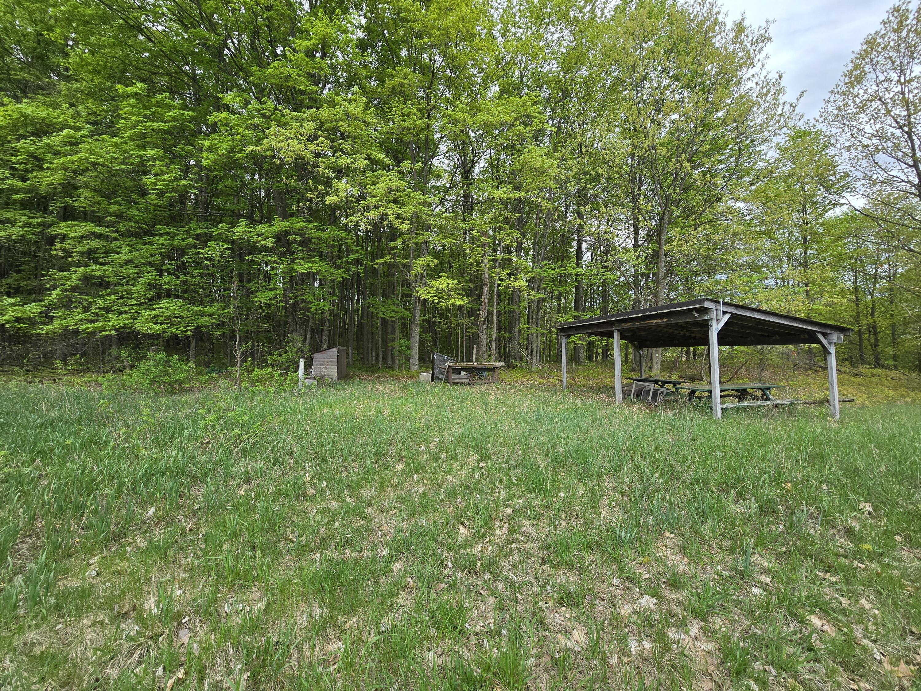 Vl Yates Road Copemish, MI 49625 - Photo 2 of 49 20240509_154826