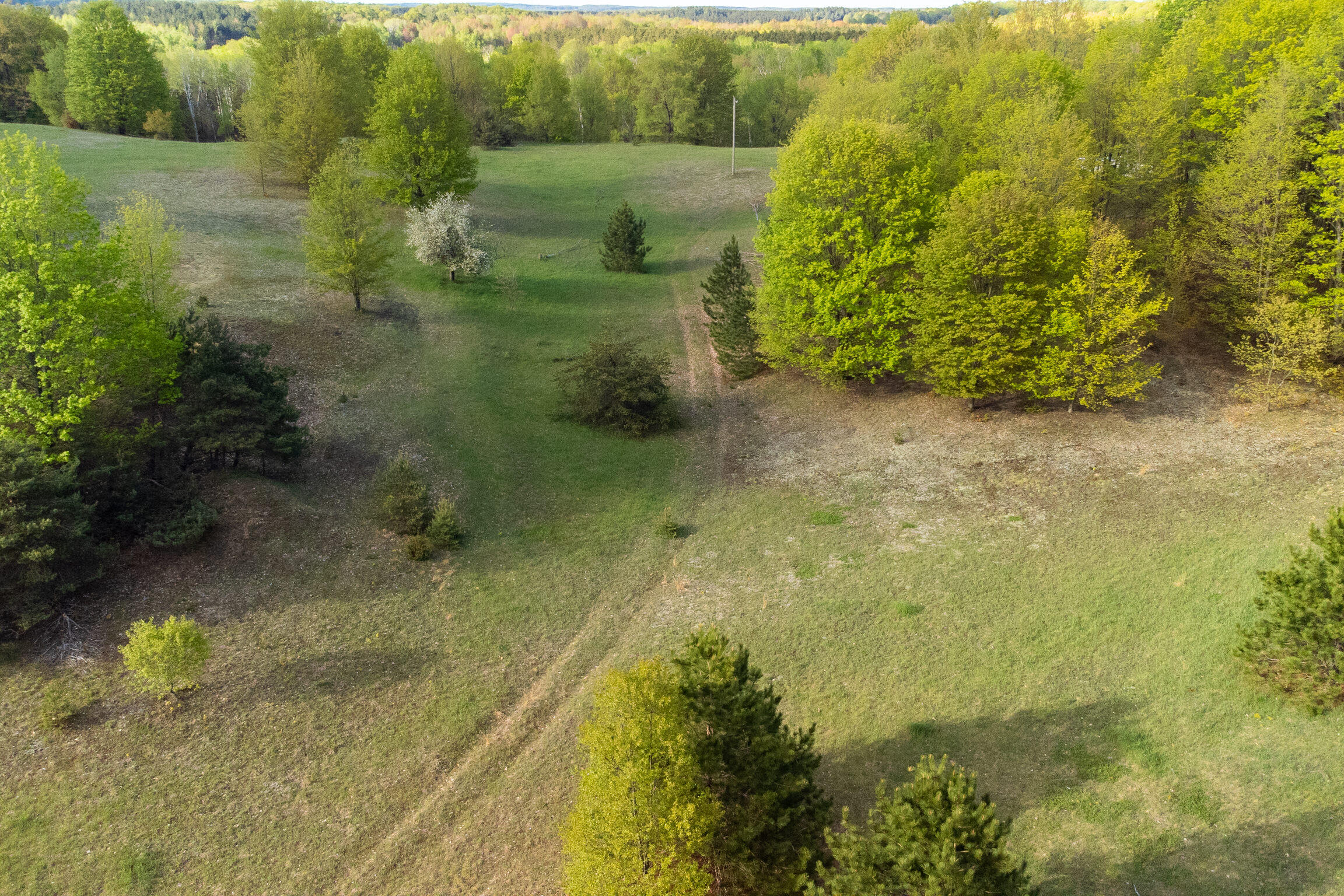 Vl Yates Road Copemish, MI 49625 - Photo 31 of 49 Yates-31