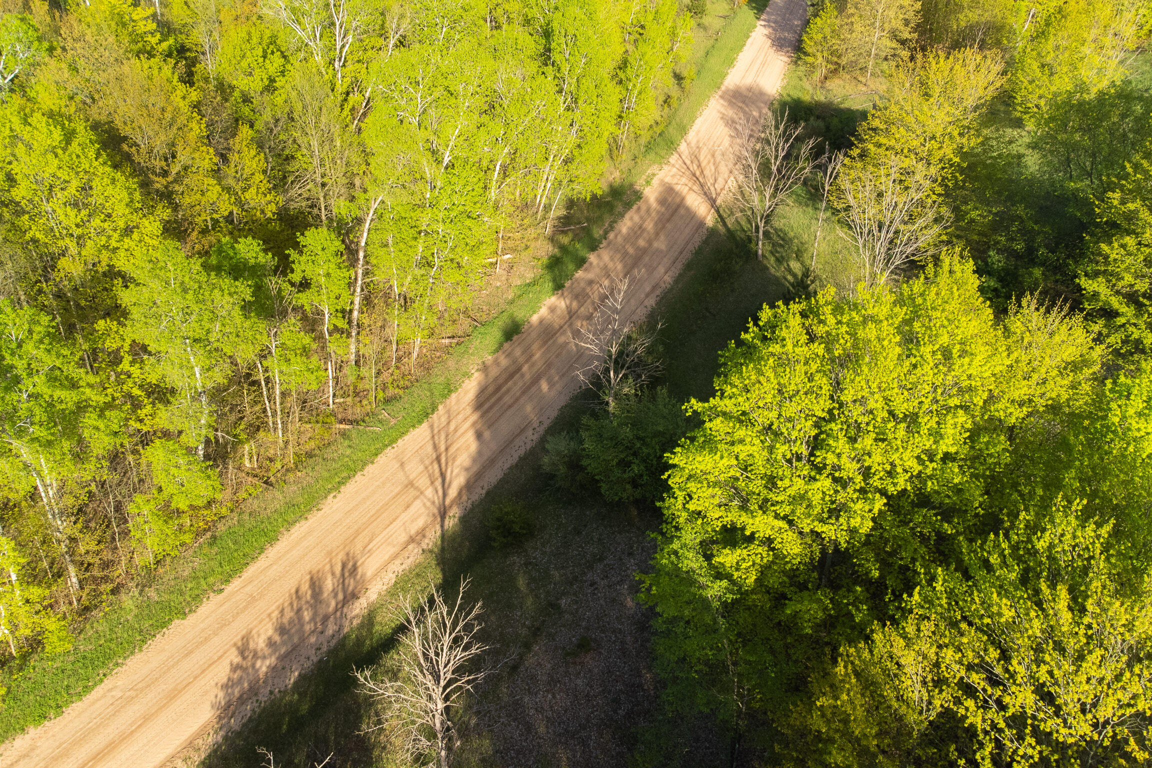 Vl Yates Road Copemish, MI 49625 - Photo 45 of 49 Yates-37