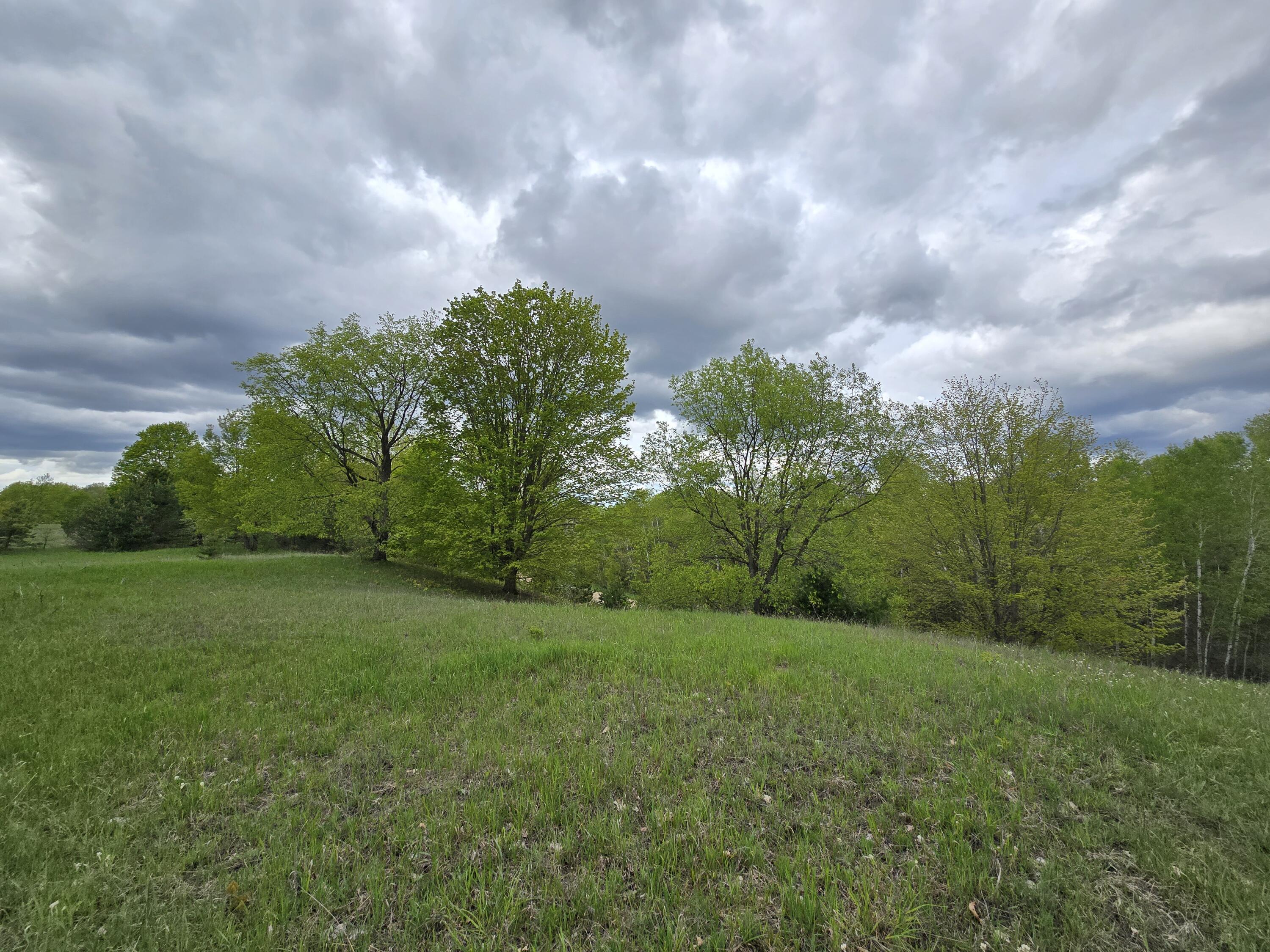 Vl Yates Road Copemish, MI 49625 - Photo 49 of 49 20240509_154717