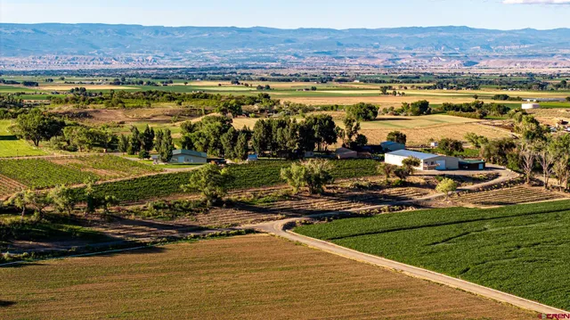 a view of a city with an ocean view