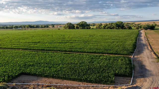a view of a lush green field
