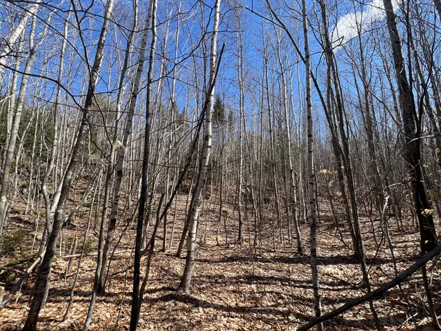 $299,000 | 25-026 Between Goodrich N Mahoney Hil, Bingham, ME 04920