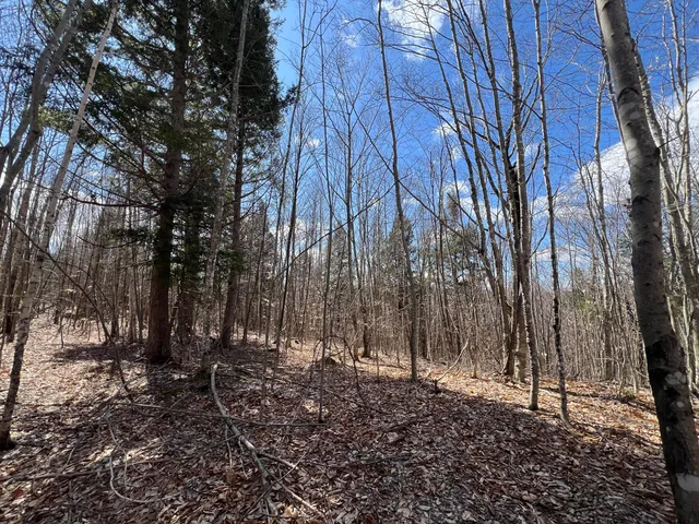 $299,000 | 25-026 Between Goodrich N Mahoney Hil, Bingham, ME 04920