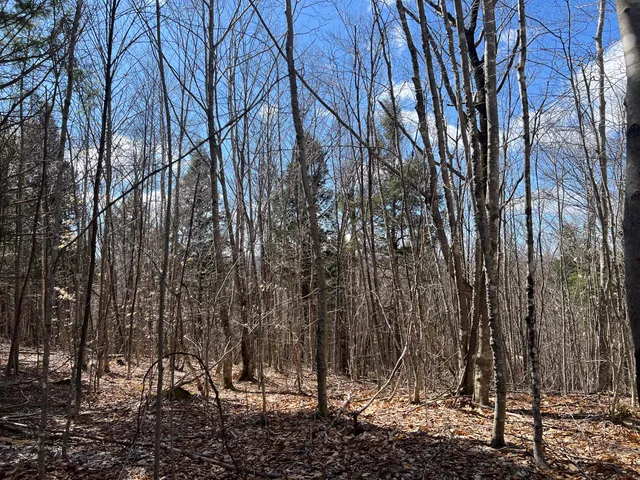 $299,000 | 25-026 Between Goodrich N Mahoney Hil, Bingham, ME 04920