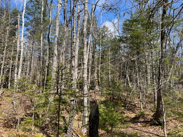 $299,000 | 25-026 Between Goodrich N Mahoney Hil, Bingham, ME 04920