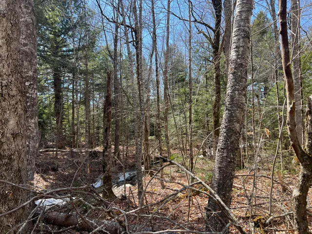 $299,000 | 25-026 Between Goodrich N Mahoney Hil, Bingham, ME 04920