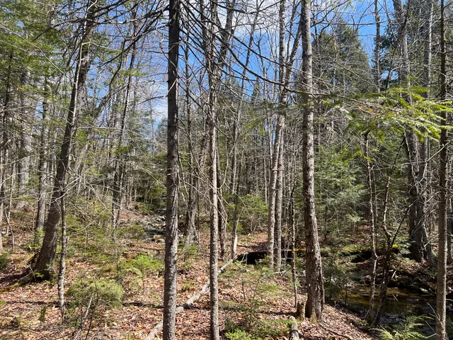 $299,000 | 25-026 Between Goodrich N Mahoney Hil, Bingham, ME 04920