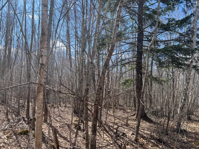 $299,000 | 25-026 Between Goodrich N Mahoney Hil, Bingham, ME 04920
