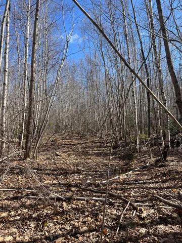 $299,000 | 25-026 Between Goodrich N Mahoney Hil, Bingham, ME 04920