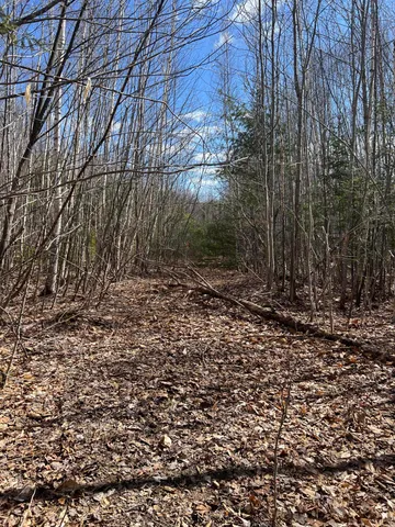 $299,000 | 25-026 Between Goodrich N Mahoney Hil, Bingham, ME 04920