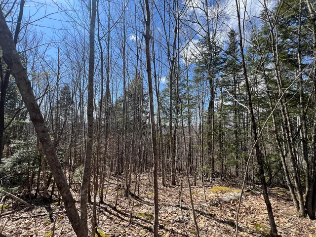 $299,000 | 25-026 Between Goodrich N Mahoney Hil, Bingham, ME 04920