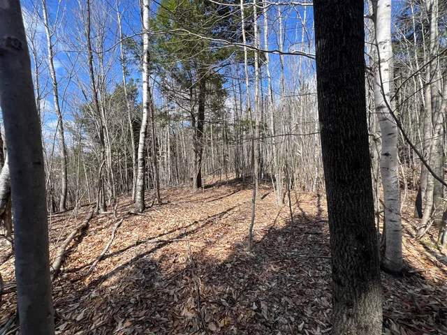 $299,000 | 25-026 Between Goodrich N Mahoney Hil, Bingham, ME 04920