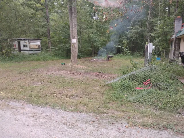 a view of a yard with potted plants and large tree