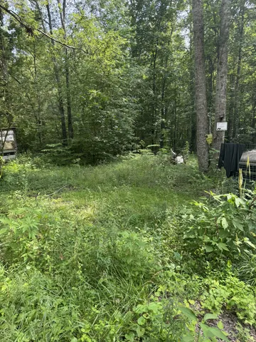 a backyard of a house with barbeque oven and outdoor seating