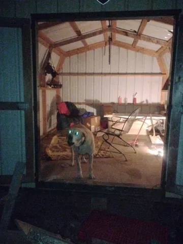 a bathroom with a toilet and a rug