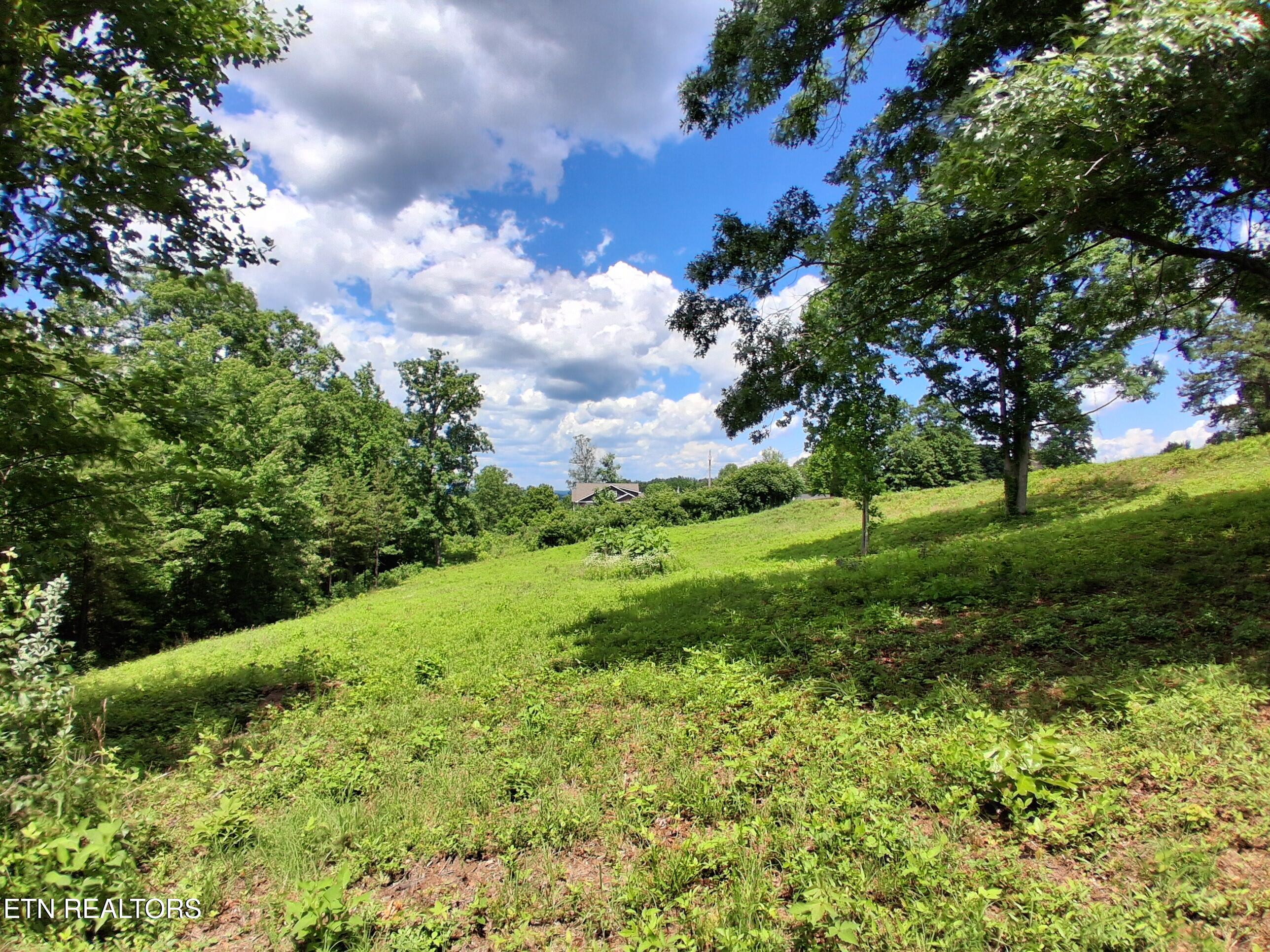 336 Woodstock Drive Rutledge, TN 37861 - Photo 4 of 8 20260602_143830