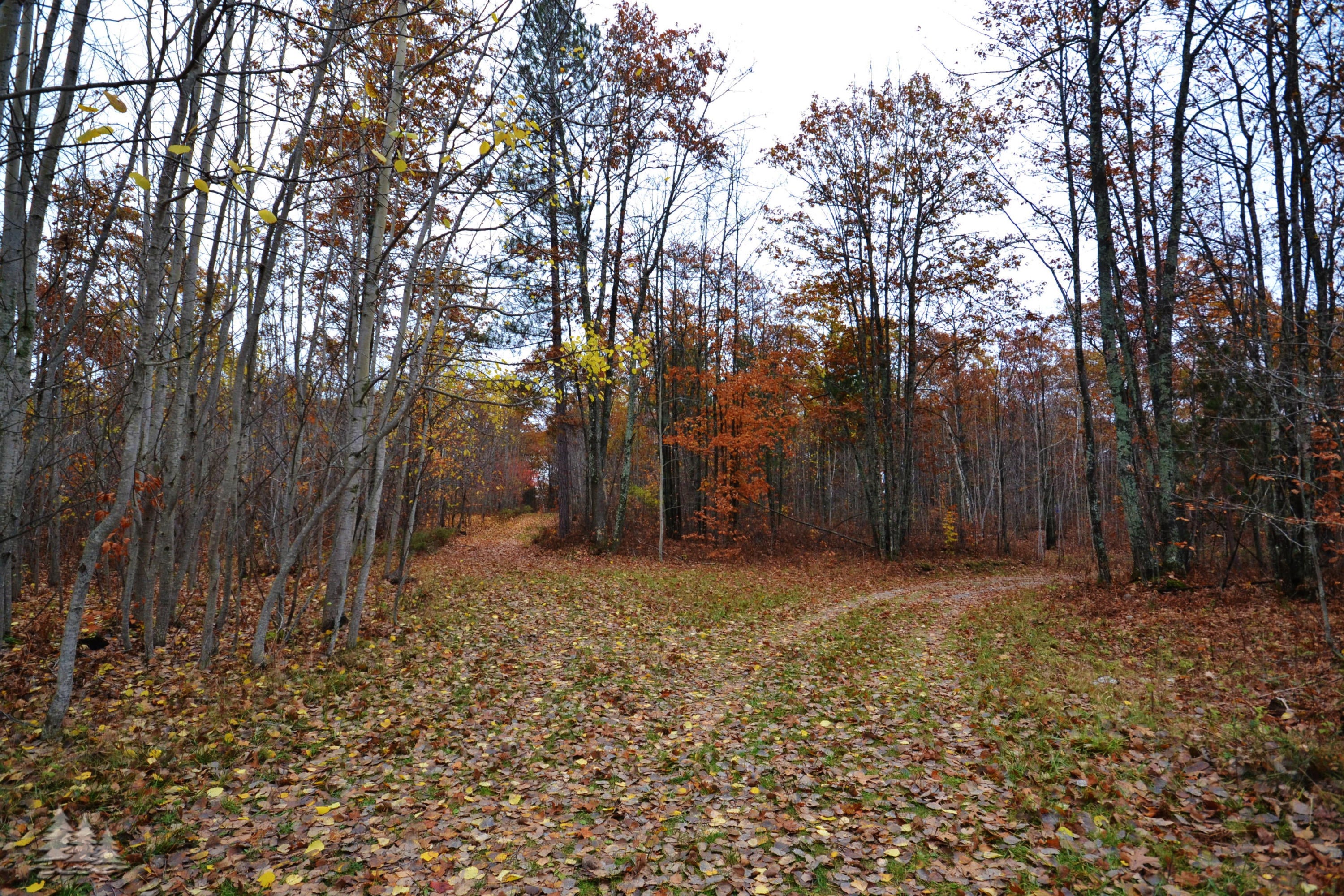 6001 Agren Road Lewiston, MI 49756 - Photo 13 of 22 Gallery Image 13