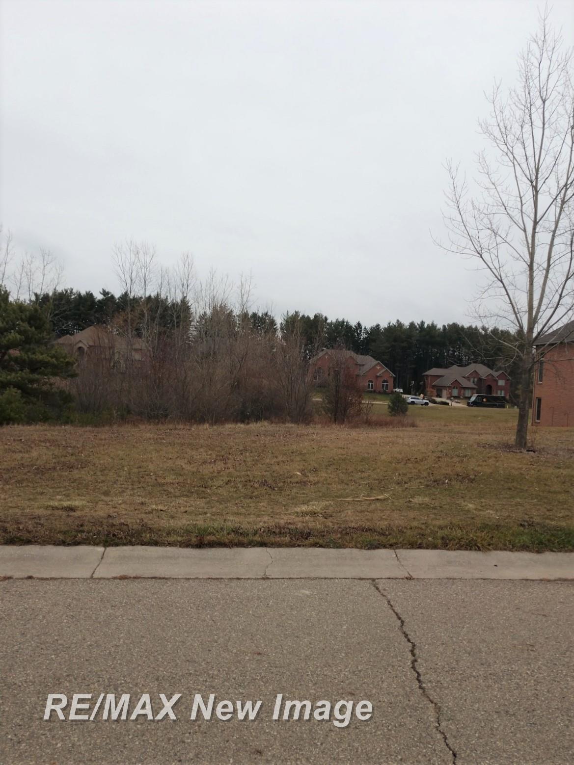V/l Rivershyre Parkway Davison, MI 48423 - Photo 2 of 5