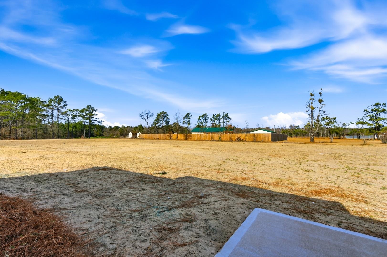 278 Lexyryan Court Latta, SC 29565 - Photo 22 of 25