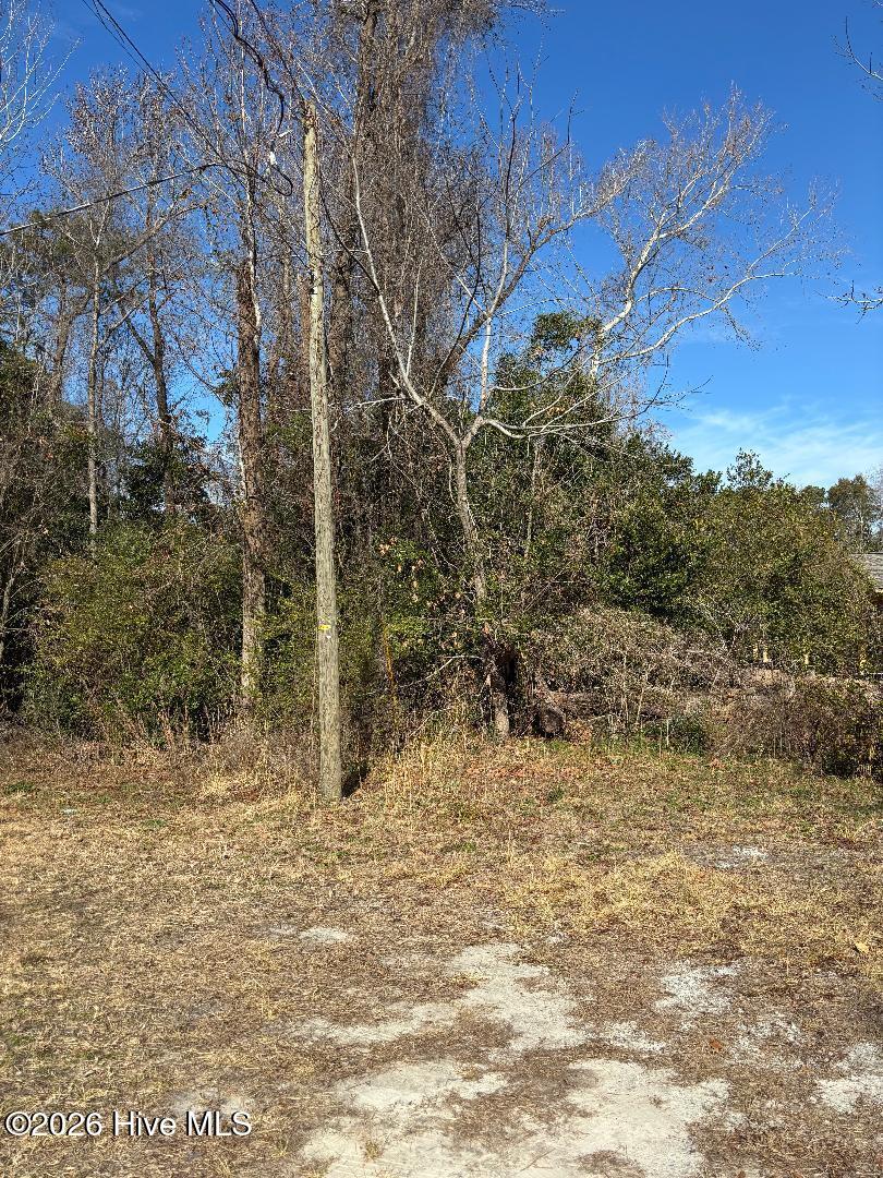 531 Mosley Street Wilmington, NC 28405 - Photo 1 of 1 Vann
