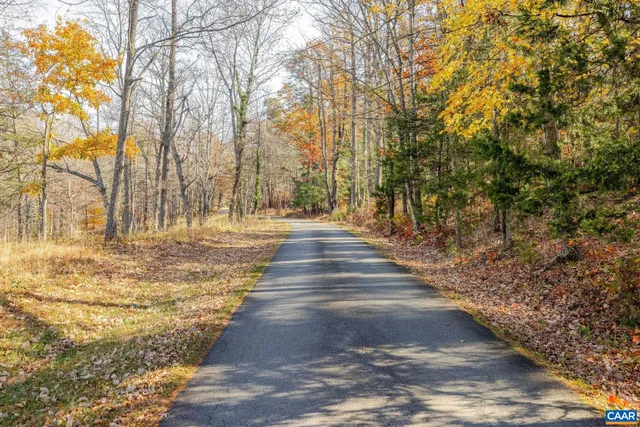 a view of a yard with large trees