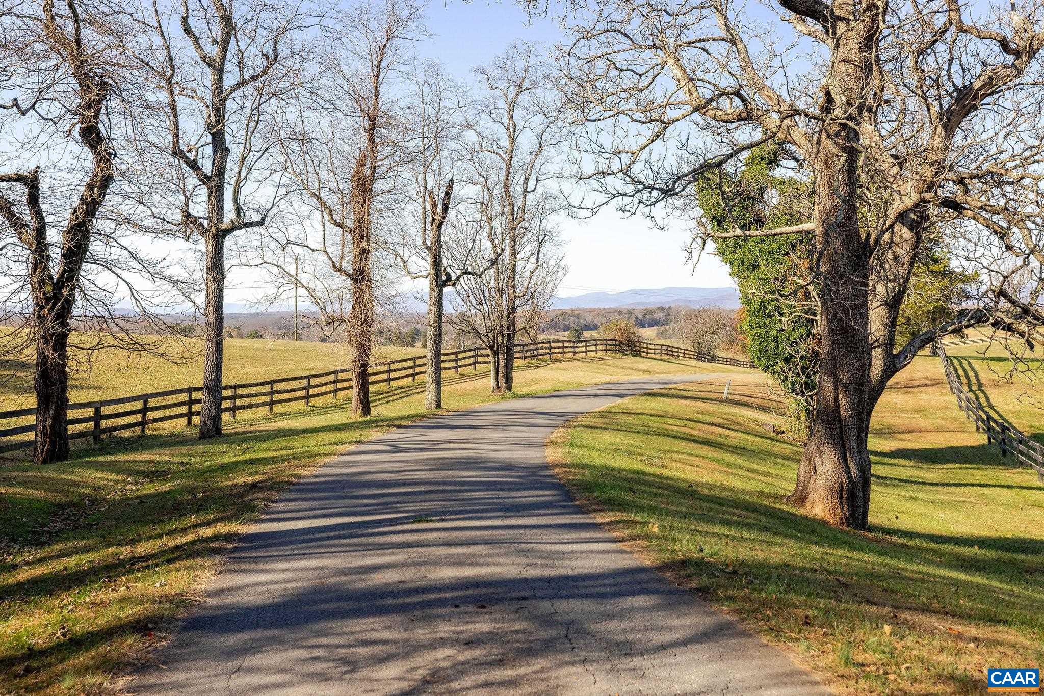 3260 Earlysville Road Earlysville, VA 22936 - Photo 3 of 42 a view of a yard with large trees