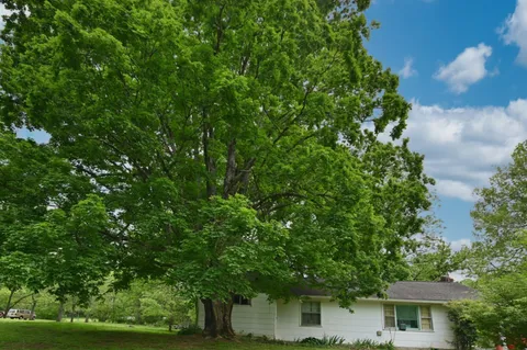 a backyard of a house with lots of green space