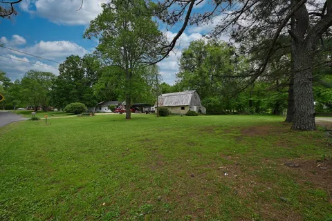a view of a trees in a park