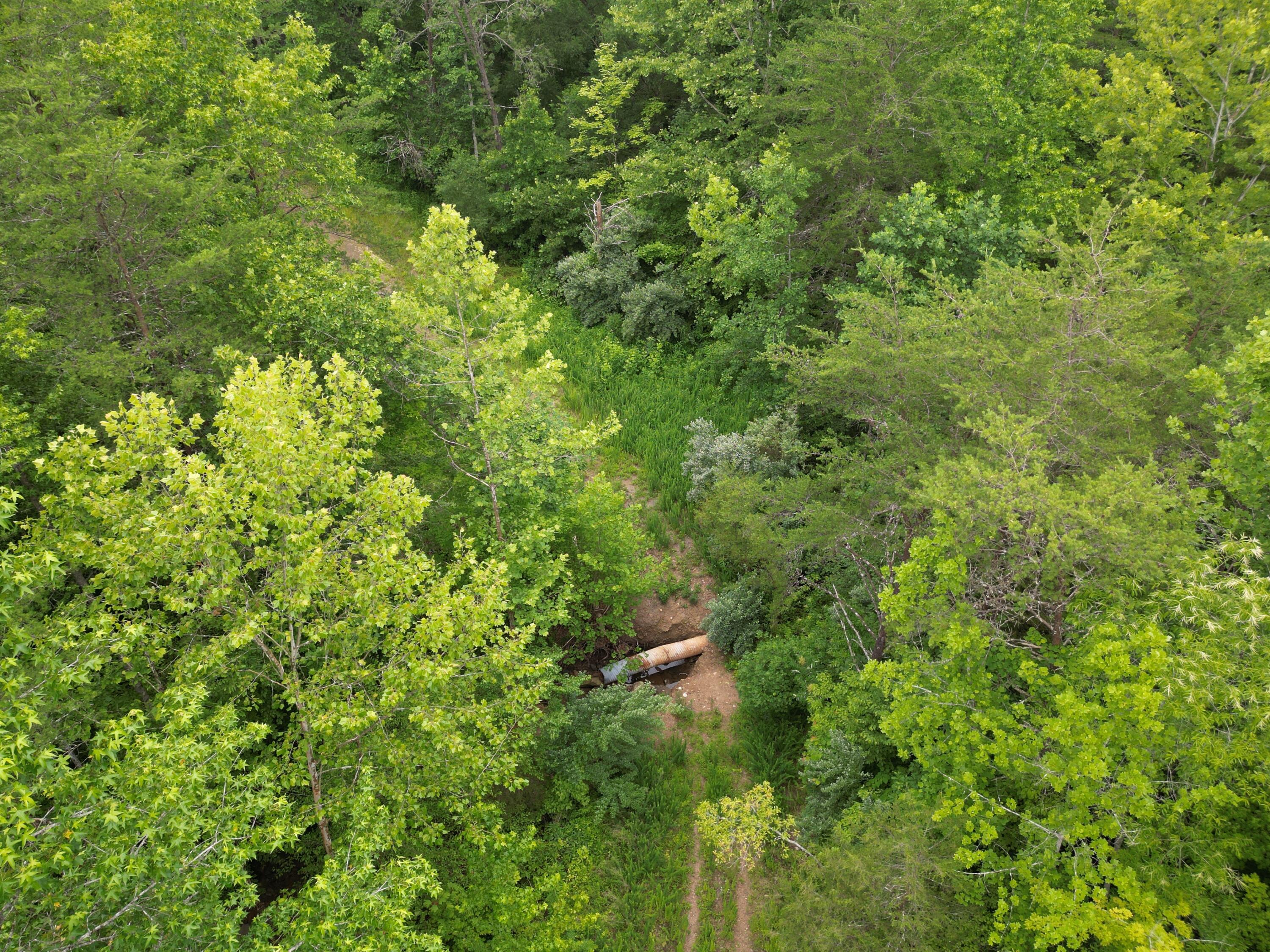 9991 Big Wildcat Road Manchester, KY 40962 - Photo 14 of 19 DJI_0129