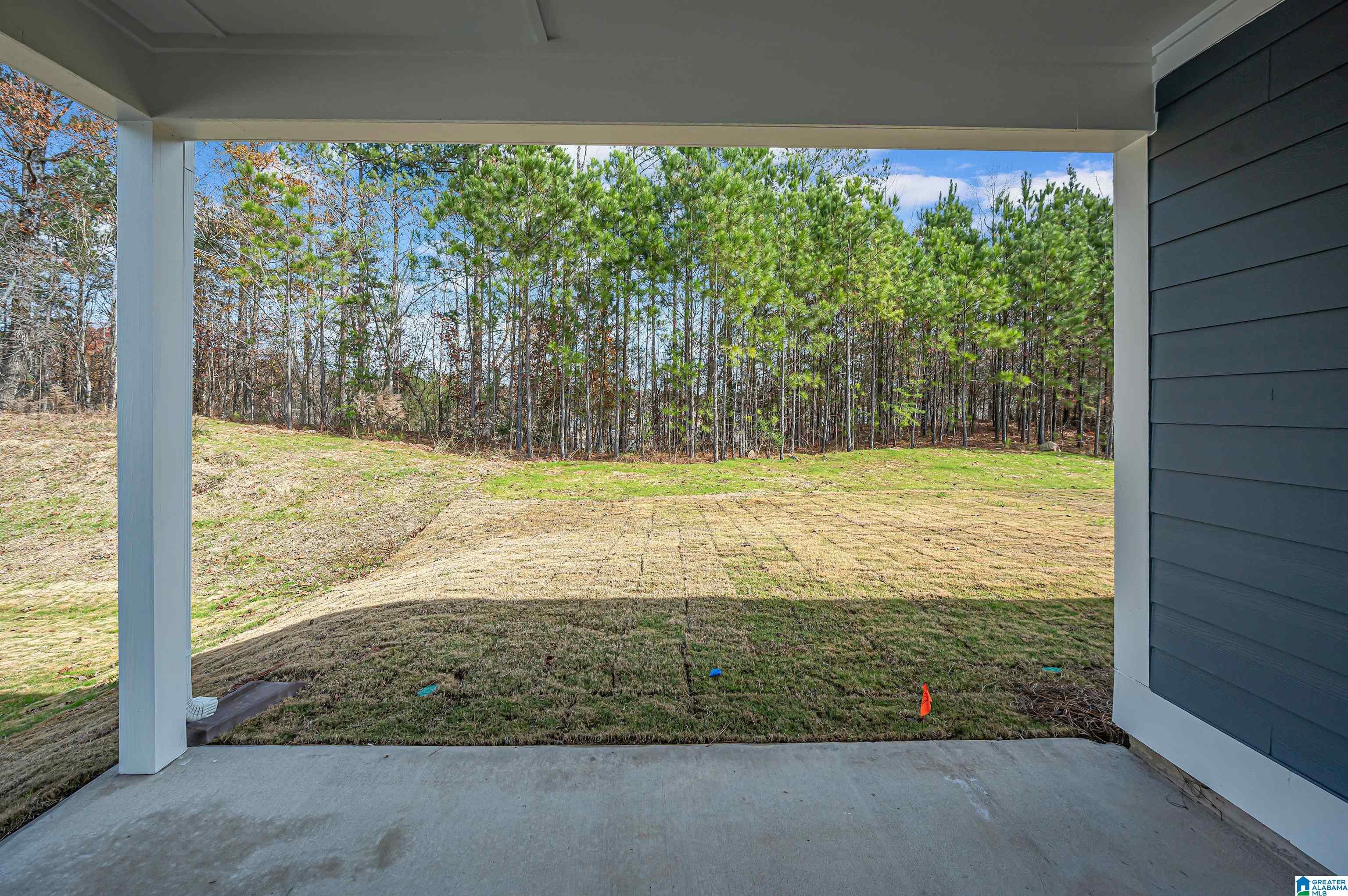 169 Barimore Boulevard Helena, AL 35080 - Photo 49 of 59