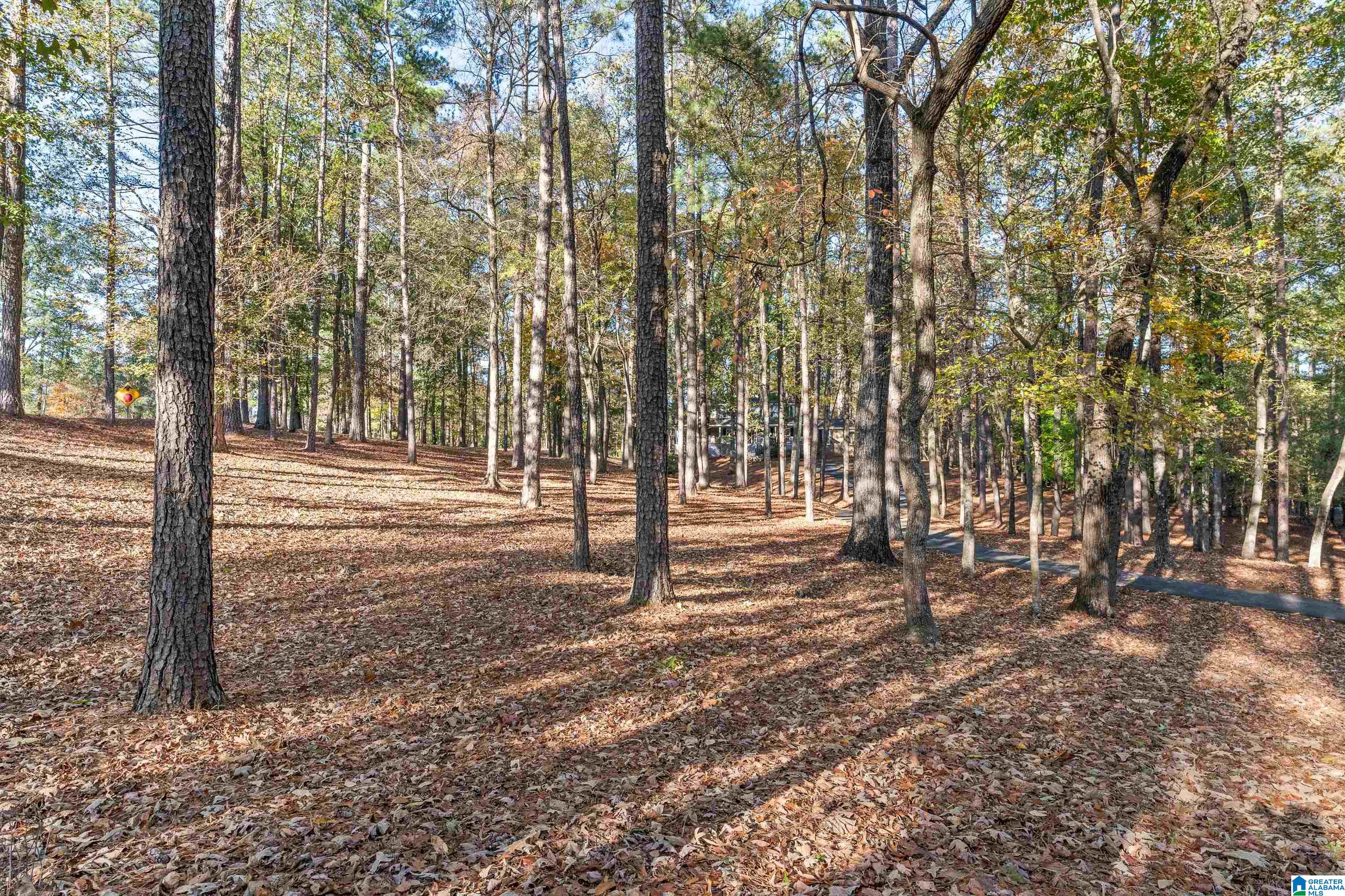 2500 Marcal Road Birmingham, AL 35244 - Photo 60 of 73